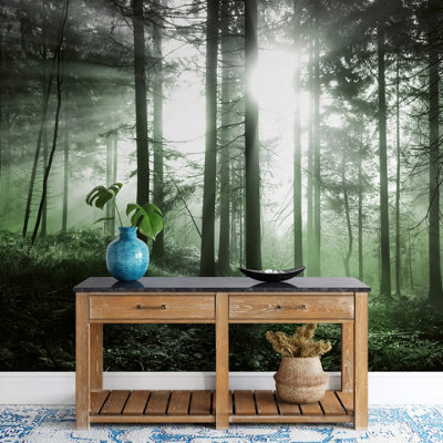 Anaglypta Sun Rays Mural384X260Cm5181-8 from B&Q