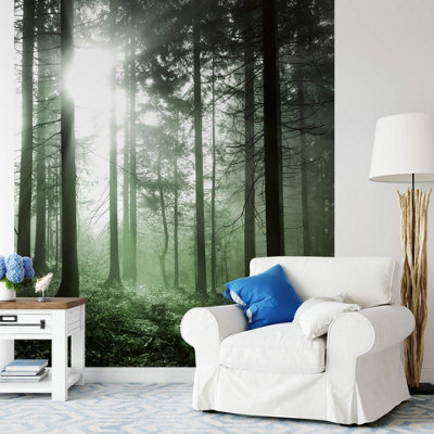 Anaglypta Sun Rays Mural192X260Cm5181-4 from B&Q