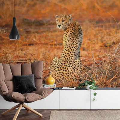 Anaglypta Leopard Safari Mural384X260Cm5075-8 from B&Q