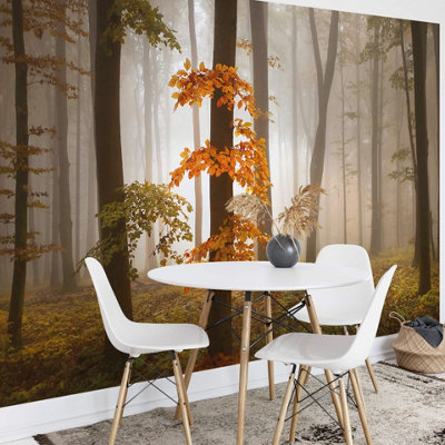 Anaglypta Foggy Autumn Forrest Mural384X260Cm5153-8 from B&Q