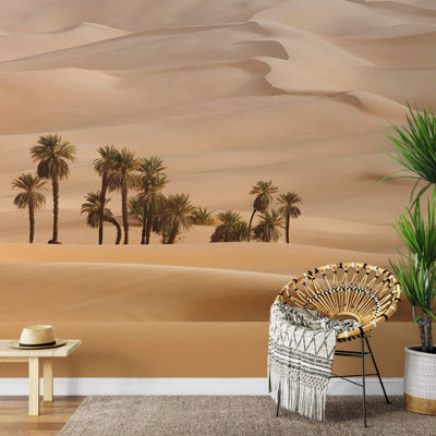 Anaglypta Dune Mural384X260Cm5458-8 from B&Q