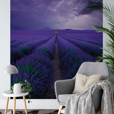 Anaglypta Field Of Lavender Mural192X260Cm5148-4 from B&Q
