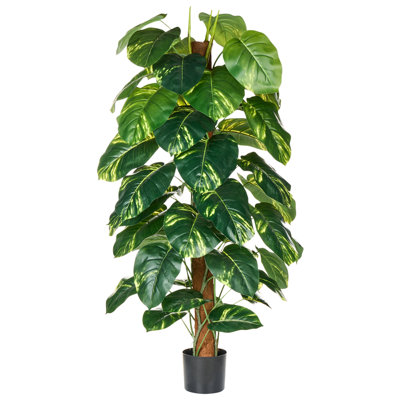 Beliani Artificial Plant Dieffenbachia 152 Cm Green from B&Q