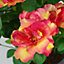40cm Artificial Rhododendron Plant Pink Orange