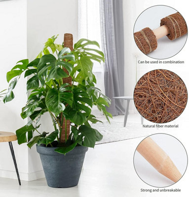 40cm Natural Extendable Moss Pole 2 Pack for Monstera, Pothos and