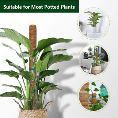 40cm Natural Extendable Moss Pole 2 Pack for Monstera, Pothos and