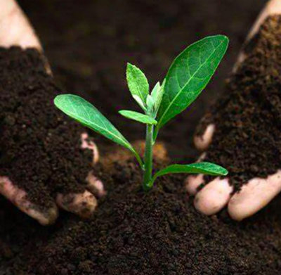40L Composting Solutions: Sustainable Practices for Every Garden