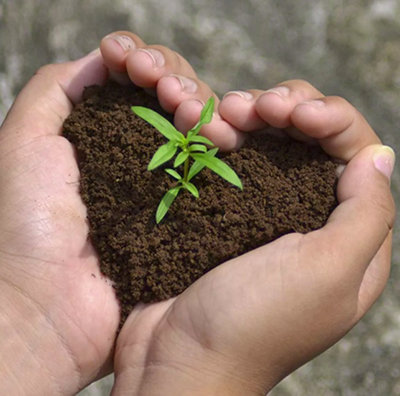 40L Composting Solutions: Sustainable Practices for Every Garden