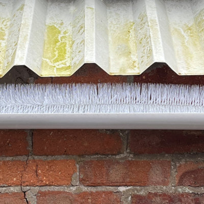 40m White Gutter Brush Leaf & Moss Guard - 5