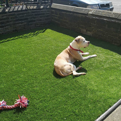 40mm Soft Fake Grass, Premium Synthetic Artificial Grass, 10 Years Warranty, Pet-Friendly Fake Grass-15m(49'2") X 2m(6'6")-30m²