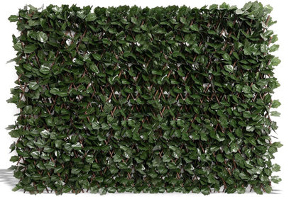Prime Plus Maple Leaf Trellis Garden Screen (H)1M (W)2M from B&Q