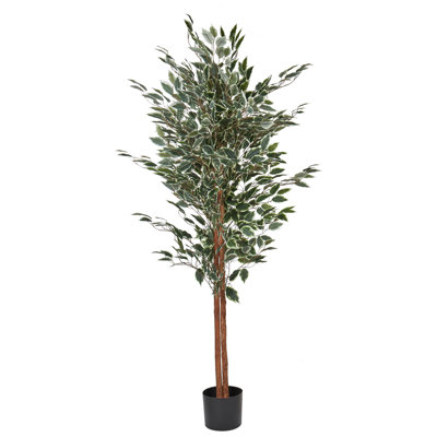 Beliani Artificial Plant Ficus 167 Cm Green from B&Q