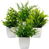 Found it product image.