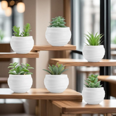 CLEFFNS Set Of 6 Succulents Plants Artificial In Pots Small Fake Plants For Bedroom Living Room Shelf Bathroom Decor Office Desk Gift