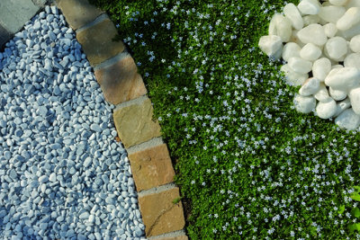 Brick garden edging dividing gravel and grass.
