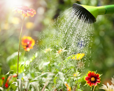 Caring for your garden