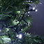 480 LED 6.2m Premier Christmas Outdoor Cluster Timer Lights in Cool White