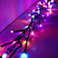 480 LED 6.2m Premier Christmas Outdoor Cluster Timer Lights in Rainbow