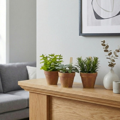 Garden Greatness Trio Artificial Herb Plants In Pots from B&Q