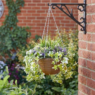 Regal Lilac Bloom Artificial Hanging Basket from B&Q
