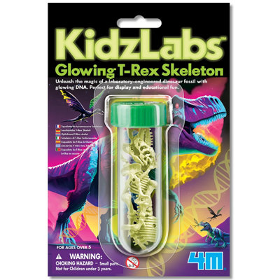 4M KidzlabsGlowing T-Rex Skeleton from B&Q