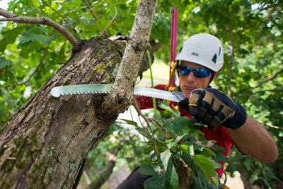Silky 270-27 Zubat Professional Curved Hand Saw 270mm from B&Q