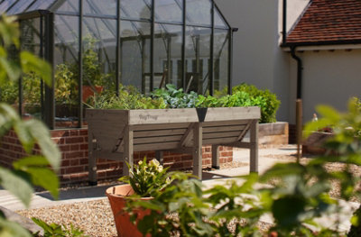 Vegtrug Medium Classic Planter from B&Q