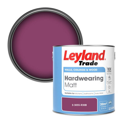 Leyland Trade Hardwearing Matt Emulsion Paint (S 3055-R30B) 2.5L from B&Q
