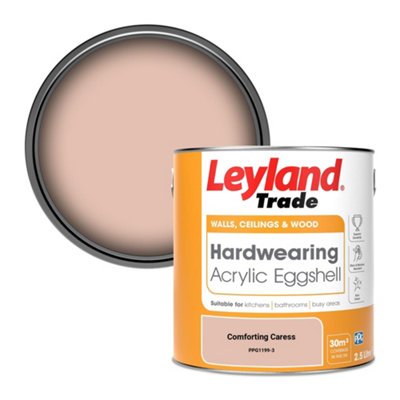 Leyland Trade Hardwearing Acrylic Eggshell Emulsion Paint Comforting Caress (Ppg1199-3) 2.5L from B&Q