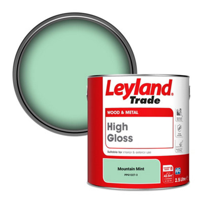 Leyland Trade Wood & Metal High Gloss Paint Mountain Mint (Ppg1227-3) 2.5L from B&Q