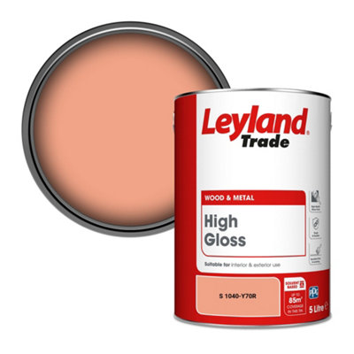 Leyland Trade Wood & Metal High Gloss Paint (S 1040-Y70R) 5L from B&Q