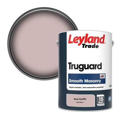 B&Q -  Truguard Smooth Masonry Paint Rose Souffle (Ppg1054-4) 5L