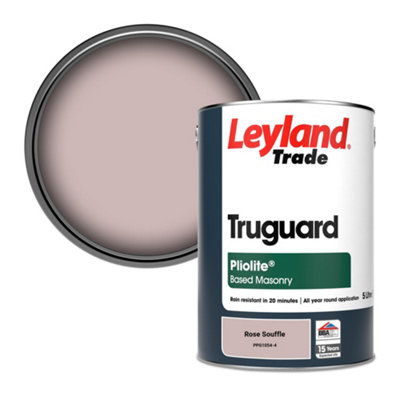 B&Q -  Truguard Smooth Pliolite Masonry Paint Rose Souffle (Ppg1054-4) 5L