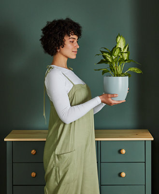 A person with short curly hair in a white blouse and green overalls carries a potted plant against a dark green wall and a dark green cabinet.