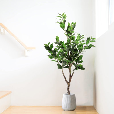 4FT Artificial Bay Laurel Tree Fake Bay Plant with Lifelike Leaves for Indoor