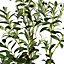 4FT Artificial Olive Tree Faux Tree with Lifelike Olive Leaves for Home Decor