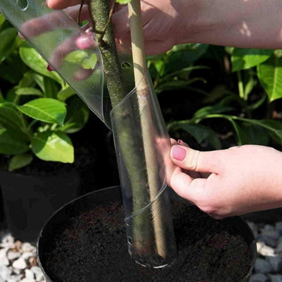 4ft Bamboo Plant Support Pack of 20 Garden Canes - 3