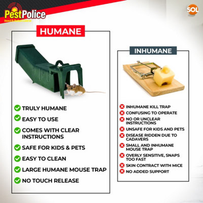 4pk Humane Mouse Traps for Indoors, Mice Trap, Humane Mouse Traps for  Indoors that Work, Effective Mousetraps