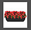 4x Black Trough Plant Pot Plastic Winchester Bell Garden Flower Patio Planter 60cm