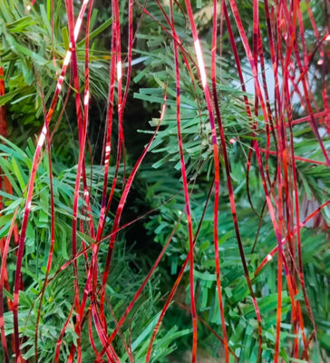 4X RED LAMETTA FOIL TINSEL GARLAND STRANDS CHRISTMAS TREE TINSEL 50CM X ...