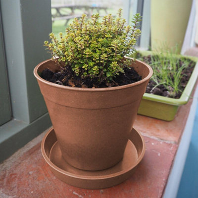 5" Bamboo Pot + Saucer Terracotta x 5