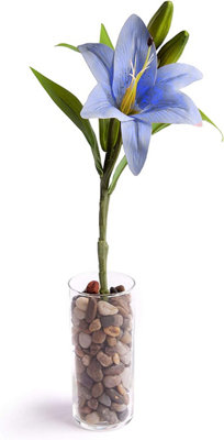 5 Best Artificial Blue 35cm Tiger Lillies