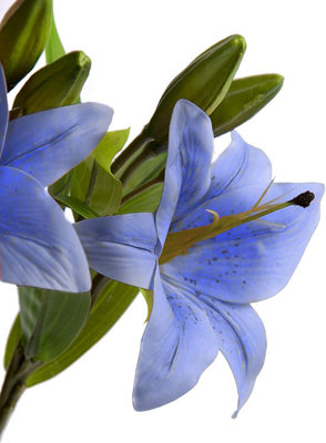 5 Best Artificial Blue 35cm Tiger Lillies