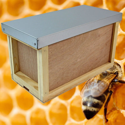 5 Frame Nucleus Beehive made from top quality pine - 8