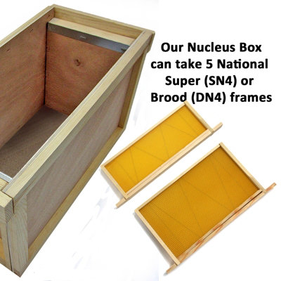 5 Frame Nucleus Beehive made from top quality pine - 9