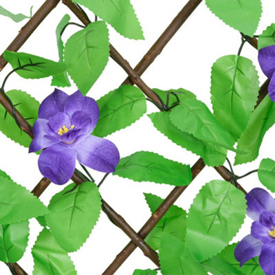 5 retractable green climbing frames, whether along the balcony, add a touch of vitality to the dull balcony