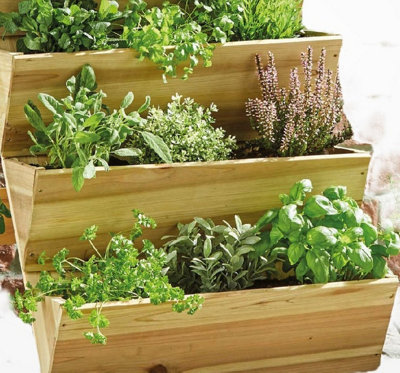 Outdoor Tiered Herb Garden | Fasci Garden