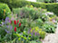 5 X Mixed Mature Garden Shrubs - Quality Plants in 2L Pots - Colourful Border 3FATPIGS