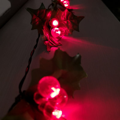 50 LED 3.6m Indoor Outdoor Red Berry & Holly Christmas Lights Price Comparisons | Compare The Build