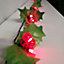 50 LED 3.6m Indoor Outdoor Red Berry & Holly Christmas Lights